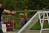 zomer wedstrijd someren zaterdag