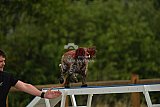 zomer wedstrijd someren zaterdag