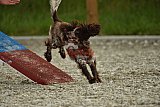 zomer wedstrijd someren zaterdag