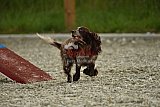 zomer wedstrijd someren zaterdag