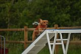zomer wedstrijd someren zaterdag