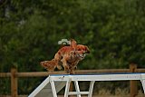 zomer wedstrijd someren zaterdag