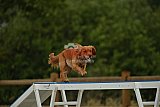 zomer wedstrijd someren zaterdag
