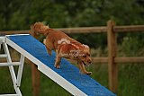 zomer wedstrijd someren zaterdag