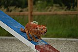 zomer wedstrijd someren zaterdag