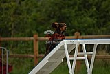 zomer wedstrijd someren zaterdag