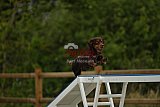 zomer wedstrijd someren zaterdag