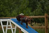 zomer wedstrijd someren zaterdag