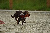 zomer wedstrijd someren zaterdag