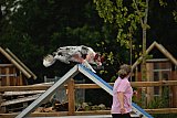 zomer wedstrijd someren zaterdag