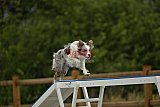 zomer wedstrijd someren zaterdag