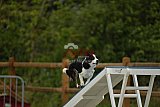 zomer wedstrijd someren zaterdag