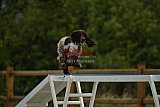zomer wedstrijd someren zaterdag