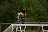 zomer wedstrijd someren zaterdag