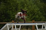 zomer wedstrijd someren zaterdag