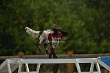 zomer wedstrijd someren zaterdag