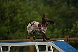 zomer wedstrijd someren zaterdag