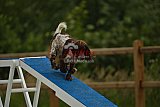 zomer wedstrijd someren zaterdag