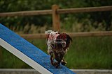 zomer wedstrijd someren zaterdag