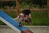 zomer wedstrijd someren zaterdag