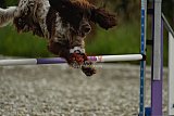 zomer wedstrijd someren zaterdag