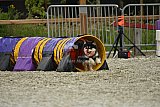 zomer wedstrijd someren zaterdag