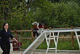 zomer wedstrijd someren zaterdag