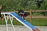 zomer wedstrijd someren zaterdag