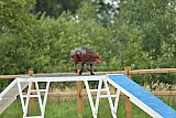 zomer wedstrijd someren zaterdag