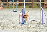 zomer wedstrijd someren zaterdag