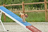 zomer wedstrijd someren zaterdag