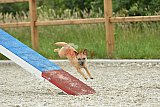 zomer wedstrijd someren zaterdag