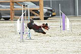 zomer wedstrijd someren zaterdag