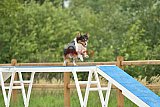 zomer wedstrijd someren zaterdag