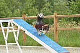 zomer wedstrijd someren zaterdag