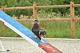 zomer wedstrijd someren zaterdag
