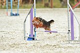 zomer wedstrijd someren zaterdag