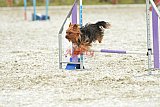 zomer wedstrijd someren zaterdag