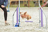 zomer wedstrijd someren zaterdag