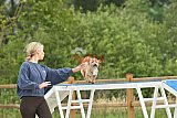 zomer wedstrijd someren zaterdag