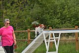 zomer wedstrijd someren zaterdag