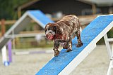 zomer wedstrijd someren zaterdag