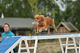 zomer wedstrijd someren zaterdag