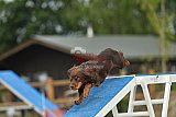 zomer wedstrijd someren zaterdag