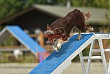 zomer wedstrijd someren zaterdag
