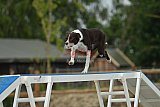zomer wedstrijd someren zaterdag