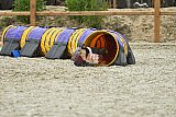 zomer wedstrijd someren zaterdag