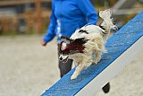 zomer wedstrijd someren zaterdag