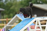 zomer wedstrijd someren zaterdag