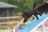 zomer wedstrijd someren zaterdag